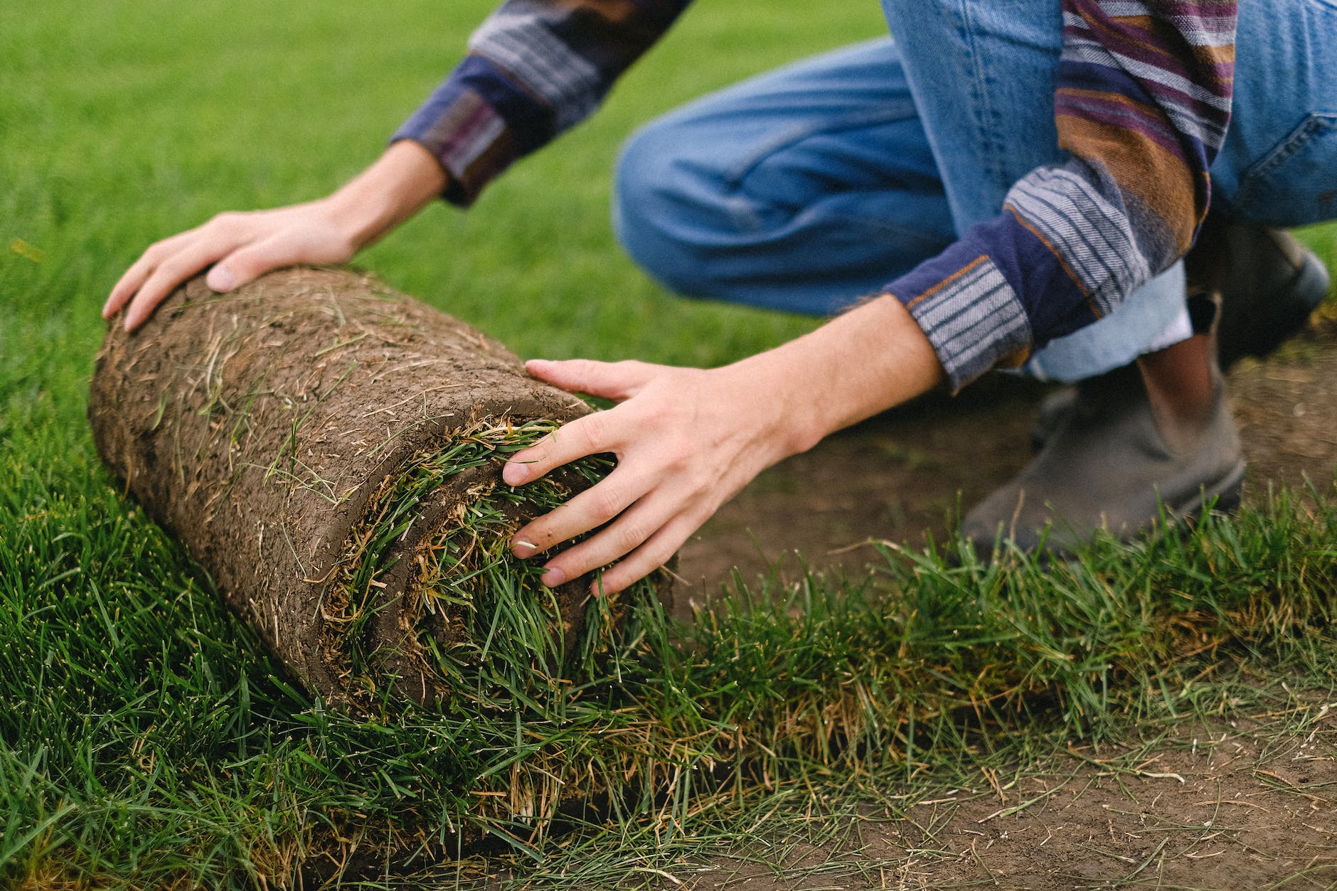 Caring For Sod vs. Seeded Lawns