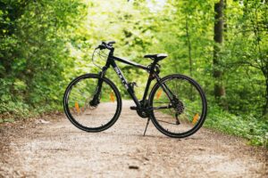 black n' white hardtail bike on brown road between trees